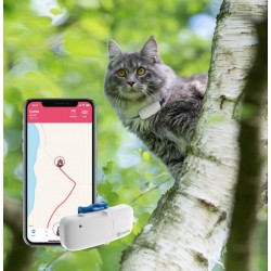 GPS Tracker Locator pentru pisici