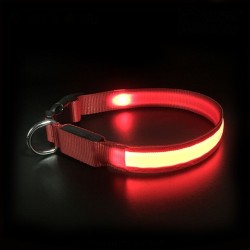 Bentech DC3100 LED Zgarda luminoasa
