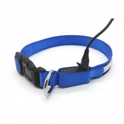 Bentech DC3100 LED Zgarda luminoasa