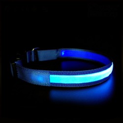 Bentech DC3100 LED Zgarda luminoasa