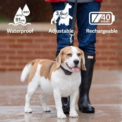 Zgarda anti-latrat PetSafe Audible