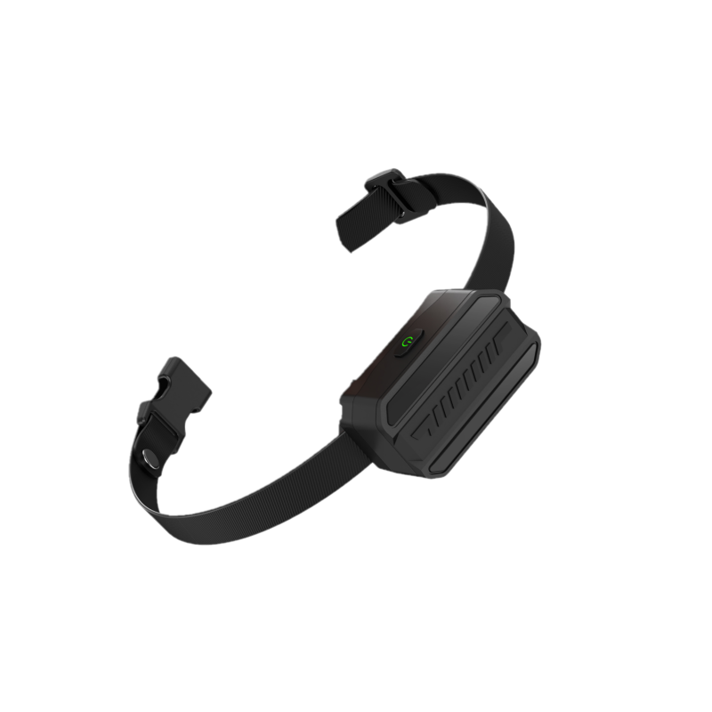 Receptor pentru Zgarda BENTECH X900 Receptor pentru Zgarda BENTECH X900