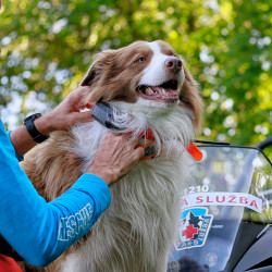 Dispozitiv de urmărire a câinilor scurți Dogtrace DOG GPS X30