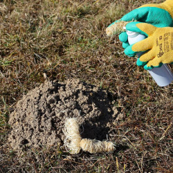 Suport ecologic pentru barieră de miros, role de vată de lemn, 10 buc.