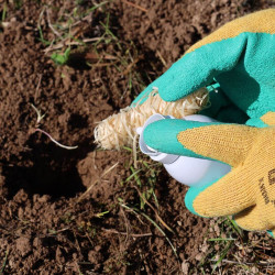 Suport ecologic pentru barieră de miros, role de vată de lemn, 10 buc.