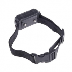 Zgarda dresaj electronica BENTECH T06L