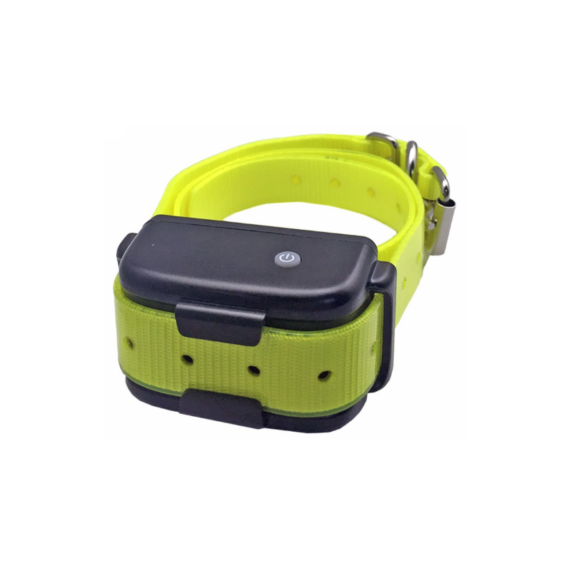 Receptor pentru Zgarda BENTECH P610 Receptor pentru Zgarda BENTECH P610